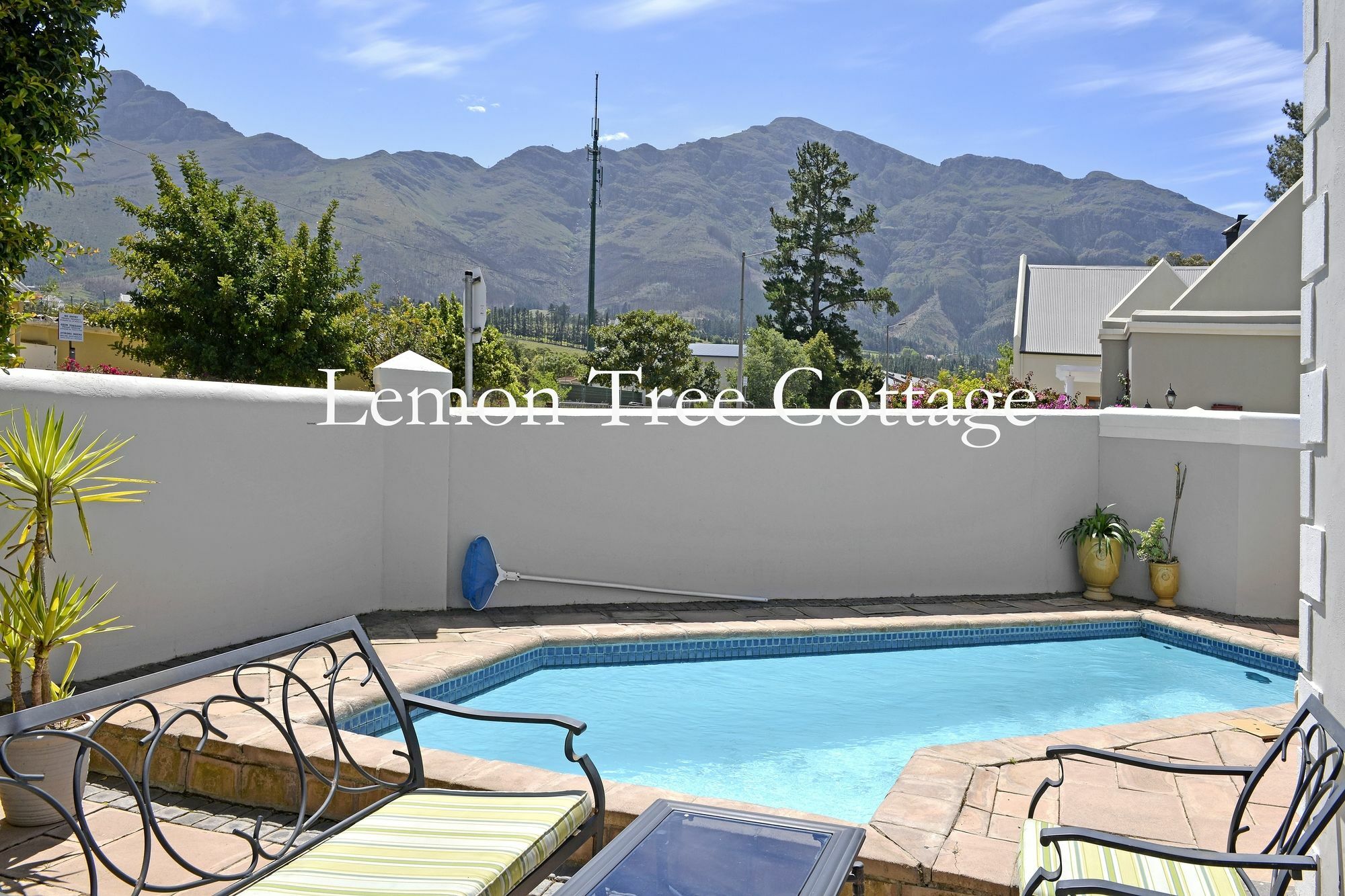 Lemon Tree Cottage Self Catering Franschhoek Bagian luar foto
