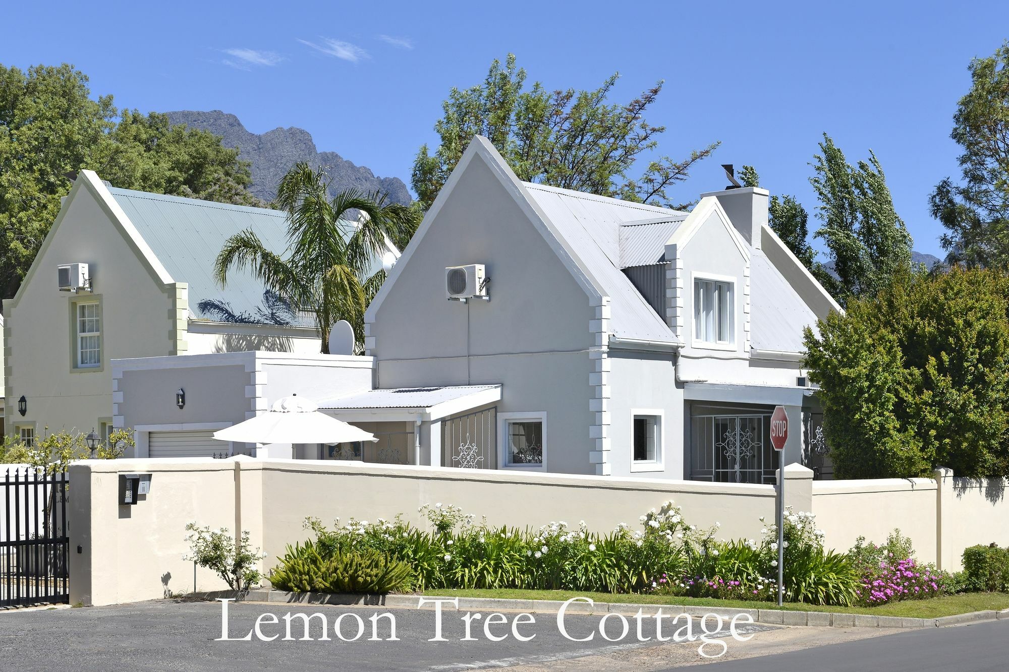 Lemon Tree Cottage Self Catering Franschhoek Bagian luar foto
